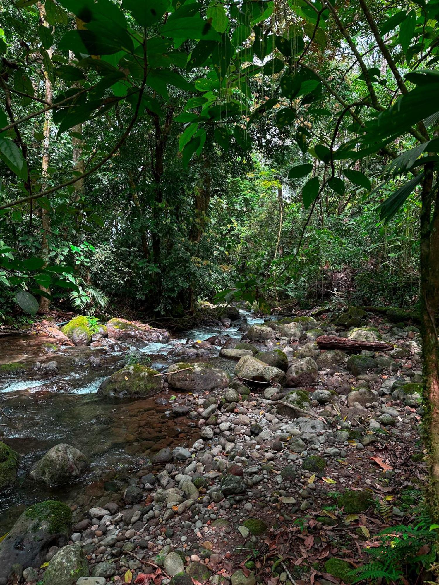 Cabanas Rio Escondido En La Fortuna 外观 照片