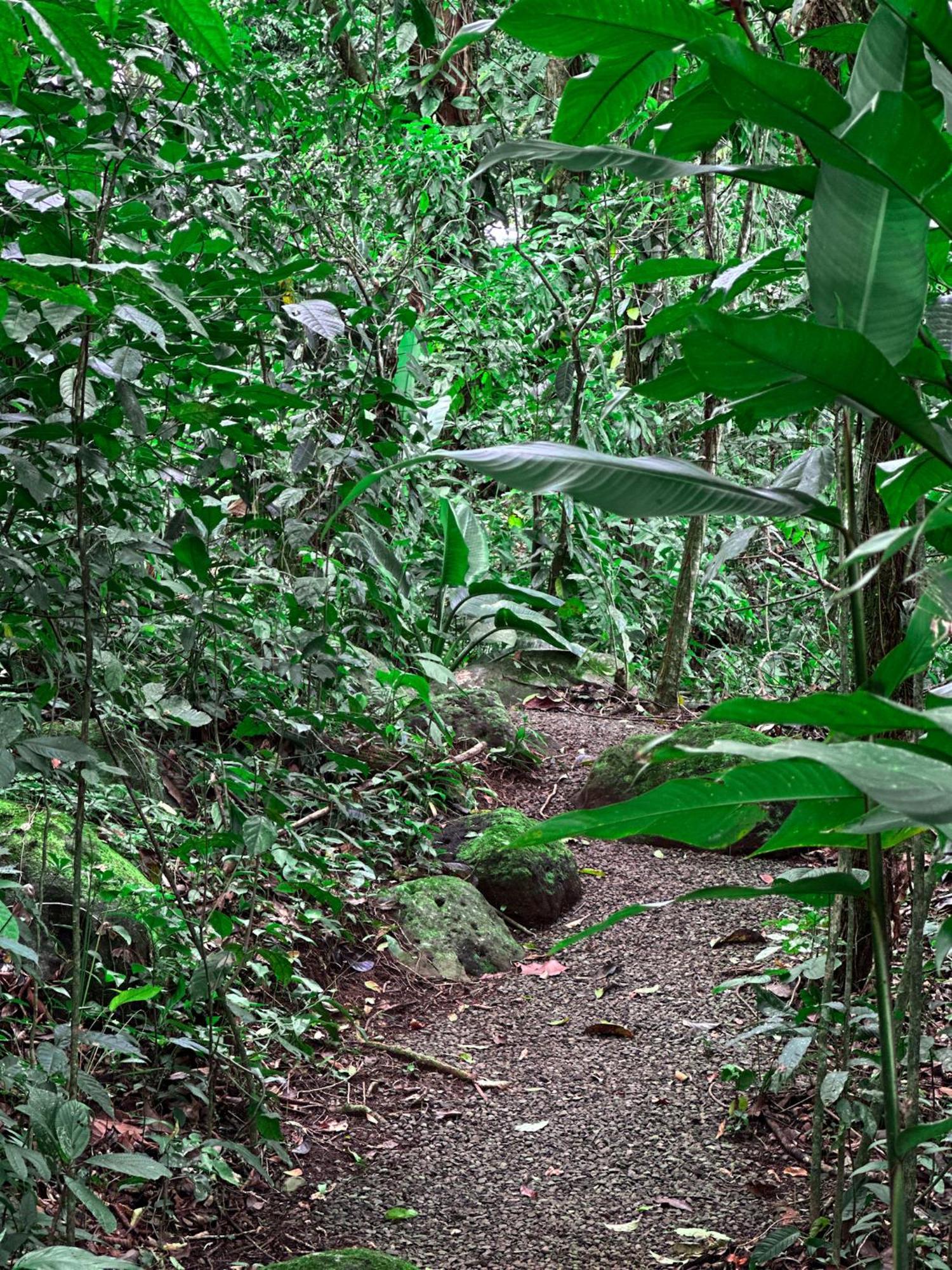 Cabanas Rio Escondido En La Fortuna 外观 照片